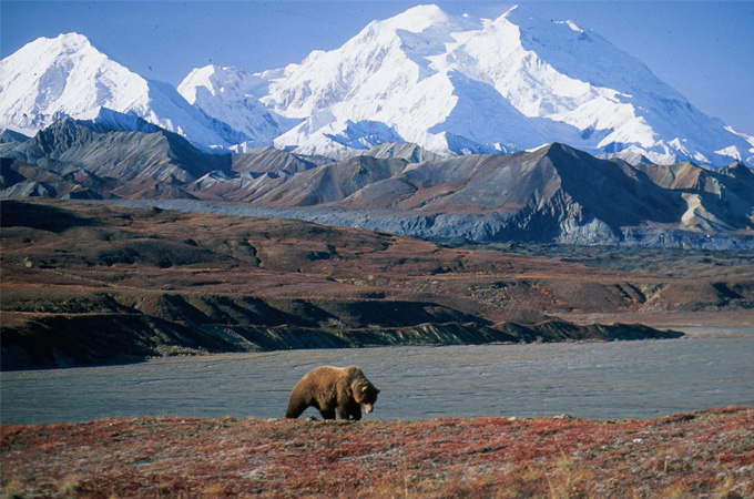 Denali National Park